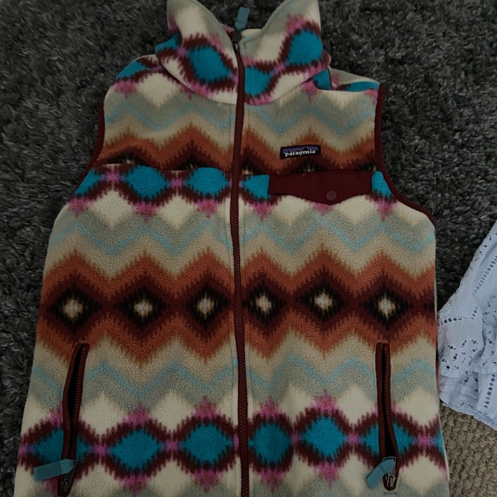 Patagonia synchilla vest